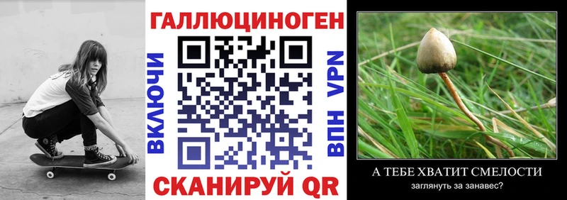 Галлюциногенные грибы мухоморы  Ухта 