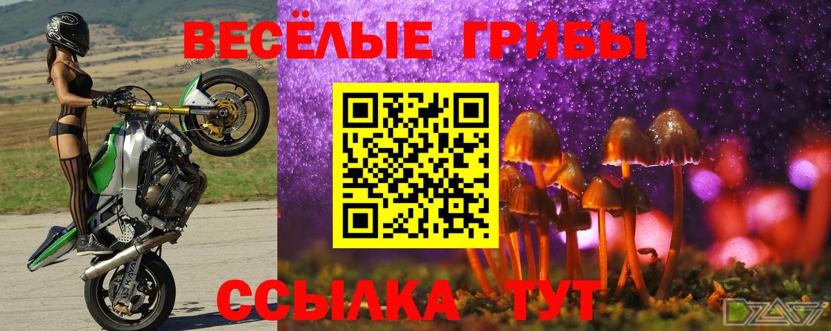 Псилоцибиновые грибы Magic Shrooms  Вход с VPN  Ухта  Псилоцибиновые грибы Psilocybe 