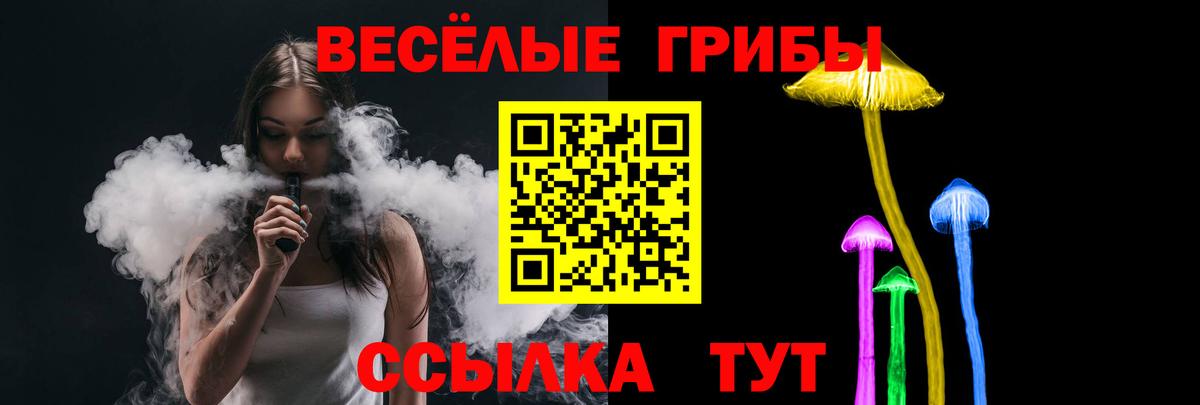 Галлюциногенные грибы Psilocybine cubensis Ухта